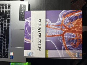 Anatomia Umana