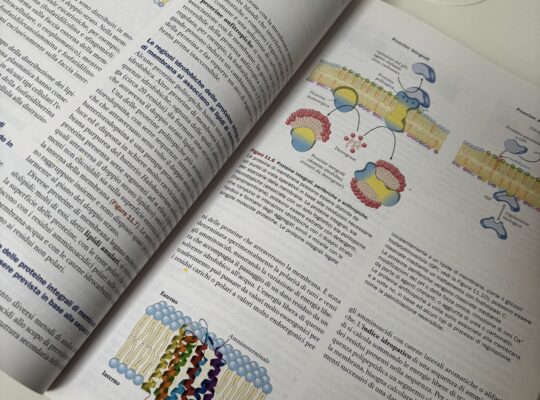 Introduzione alla biochimica di Lehninger