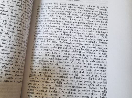 La lingua italiana- profilo storico
