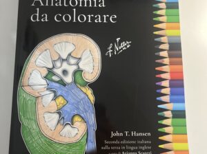 NETTER’S Anatomia da colorare