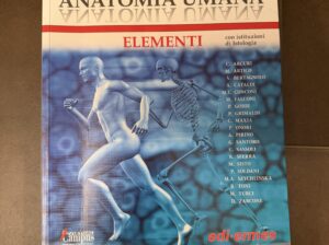 Anatomia Umana