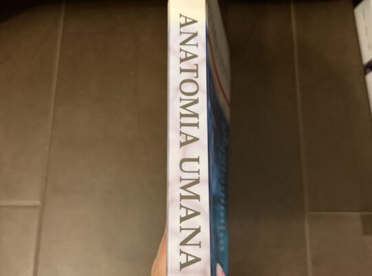 Anatomia Umana