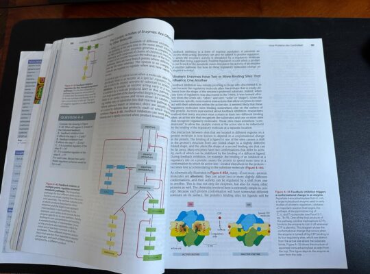 ESSENTIAL CELL BIOLOGY(FIFTH EDITION)
