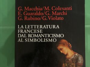 La letteratura francese dal romanticismo al simbolismo