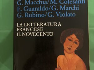 La letteratura francese, il novecento