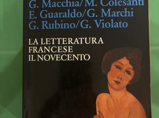 La letteratura francese, il novecento