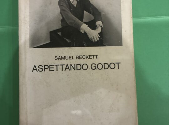 Aspettando Godot